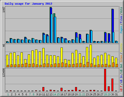 Daily usage for January 2012