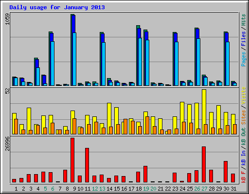 Daily usage for January 2013