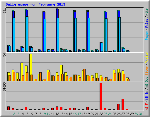 Daily usage for February 2013