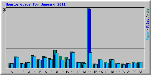 Hourly usage for January 2011
