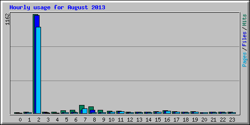 Hourly usage for August 2013